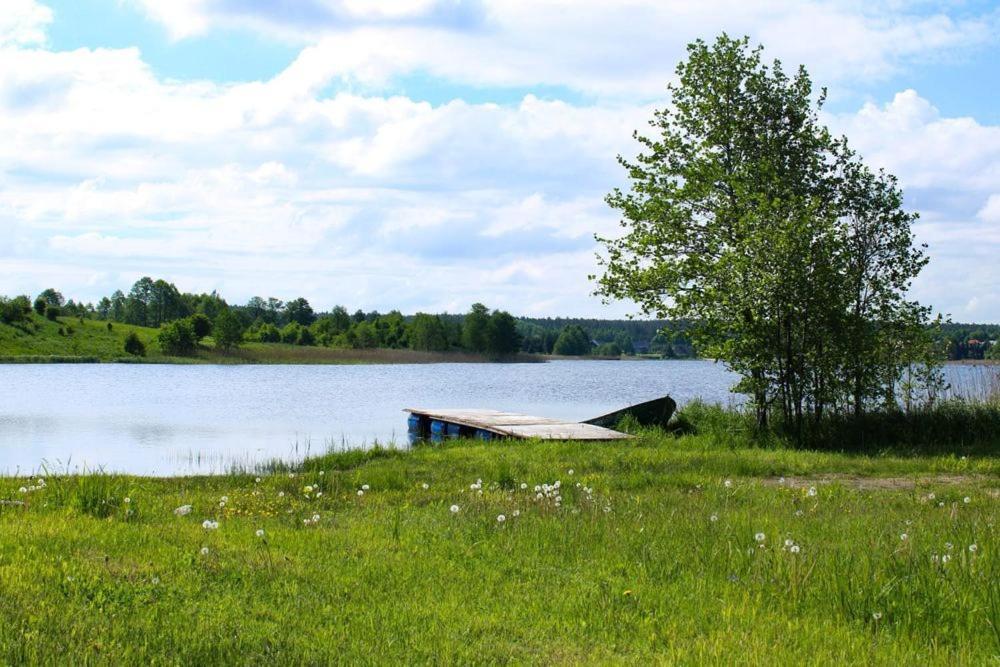 Miedzy Olchami Domek Nad Jeziorem. Noclegi Caloroczne. Cisza, Spokoj. Barczewo Exterior photo